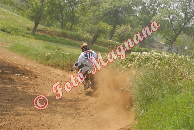 DSC_0914.jpg